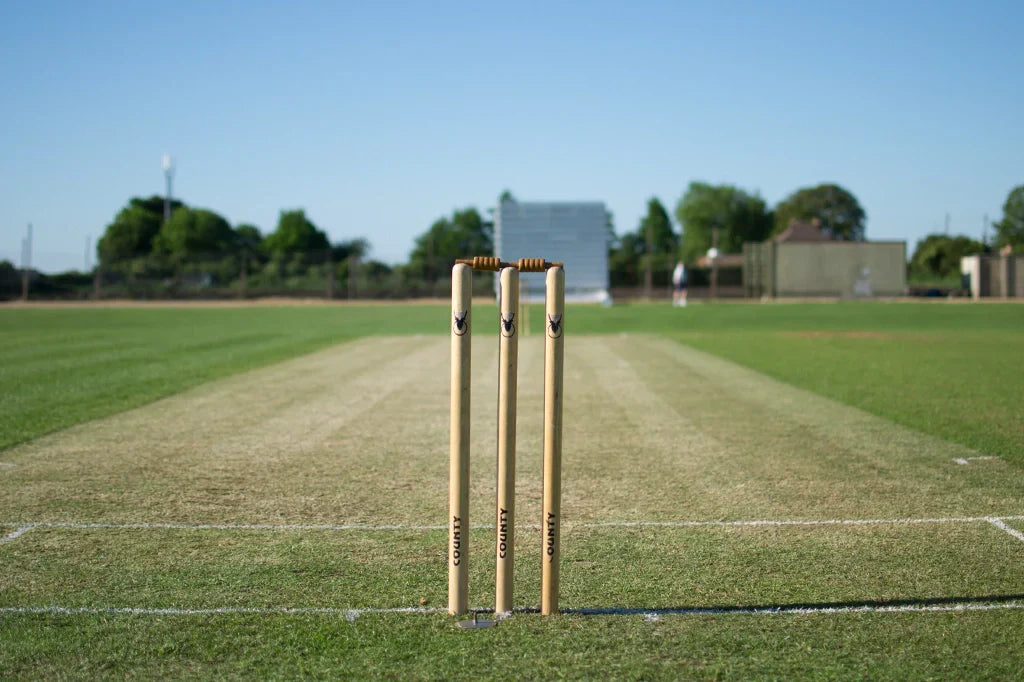 Cricket Pitch and Weather Conditions Cricket Pitch and Weather Conditions