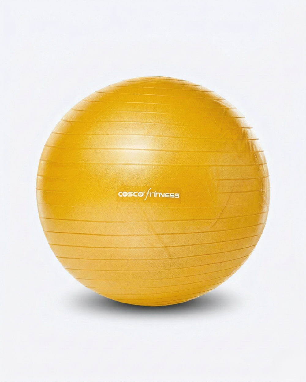 Cosco Gym Ball 65cm
