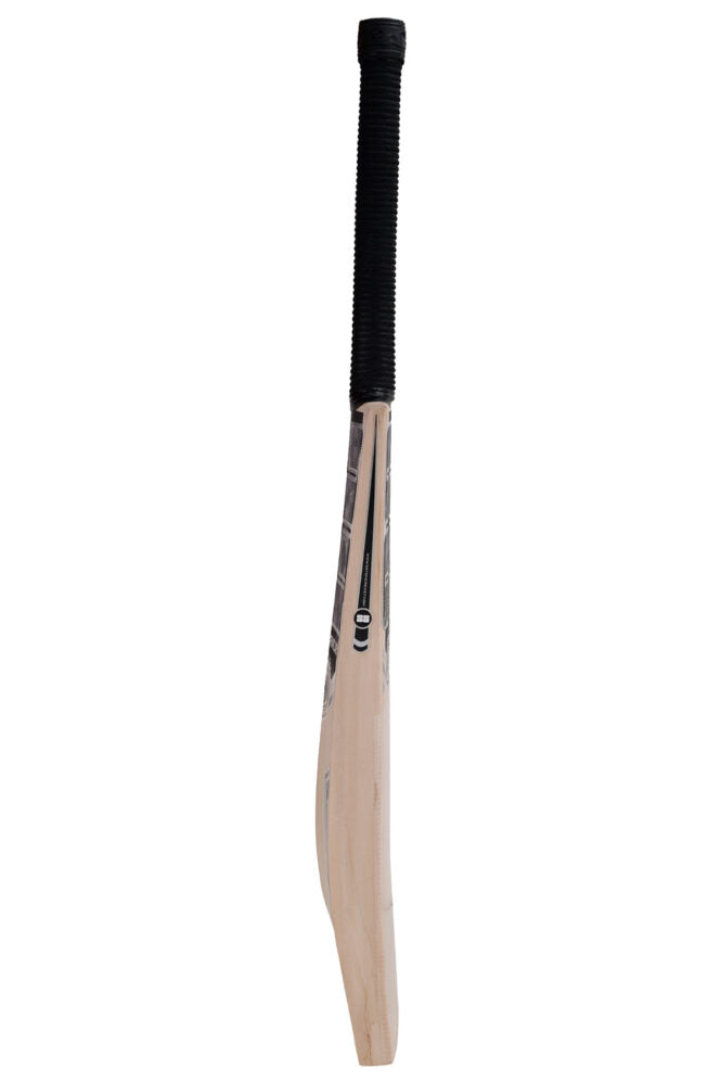 SS Premium Silver Kashmir Willow Cricket Bat