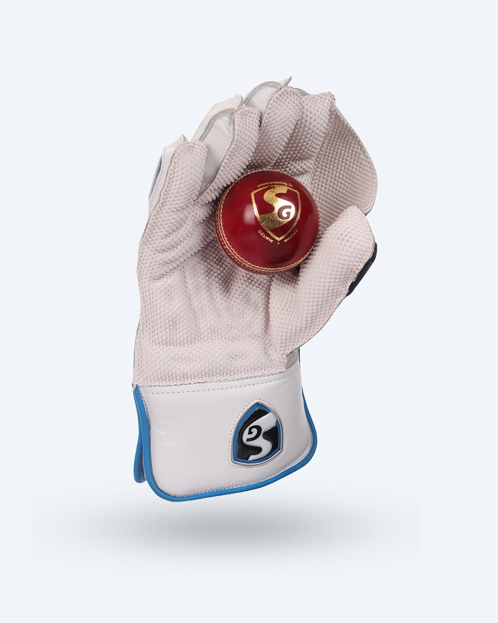 SG RSD Xtreme Wicket Keeping Gloves (Multi-Color) W.K. Gloves
