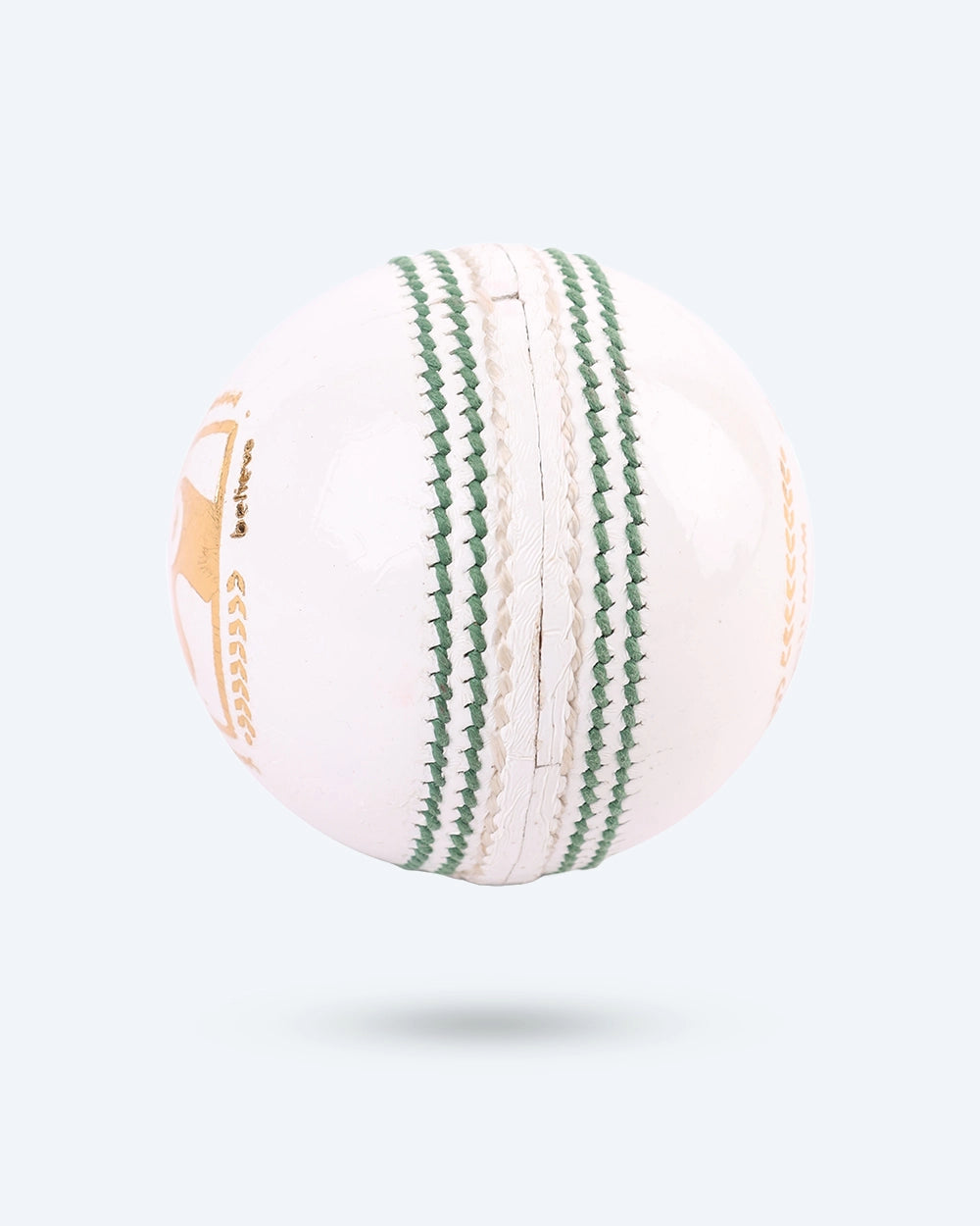 SG Tournament Cricket Leather Ball White
