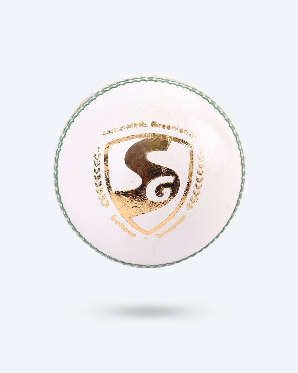 SG Tournament Cricket Leather Ball White