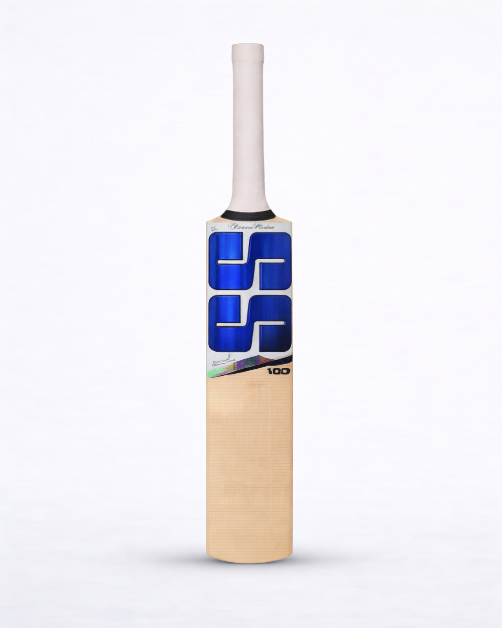 SS Master 100 KW Bat