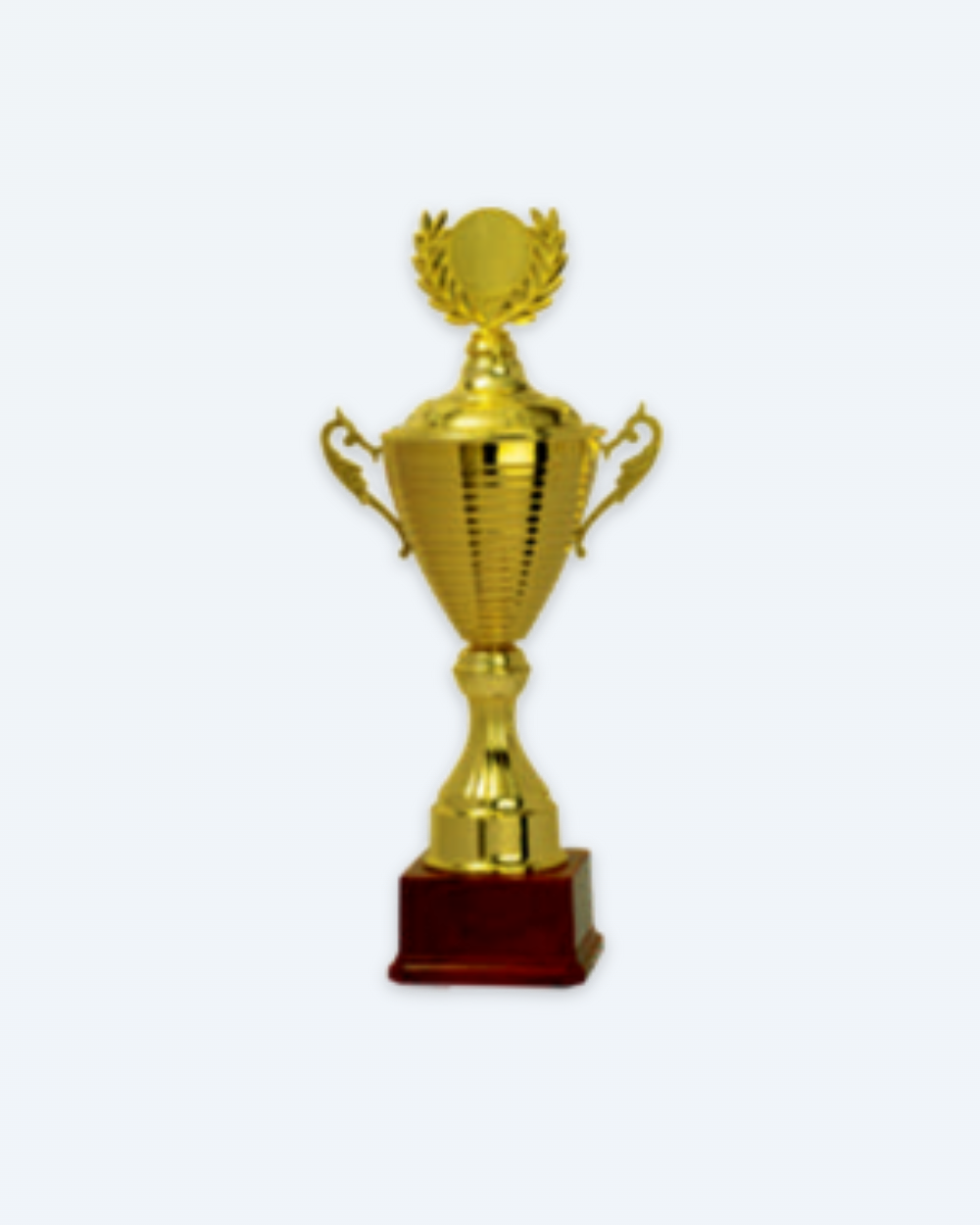 Metal Trophy 8004 A