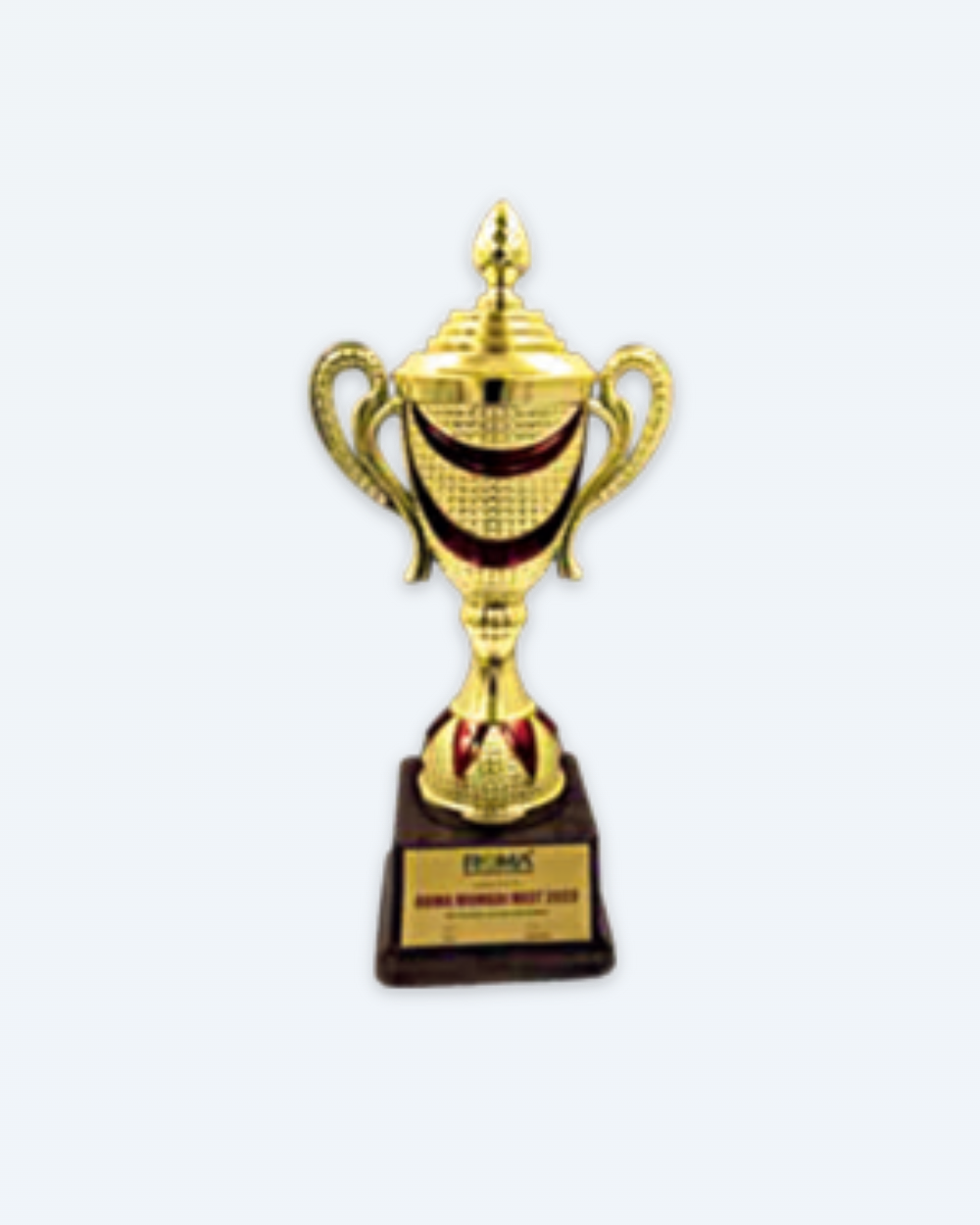 Fiber Trophy 1040 A
