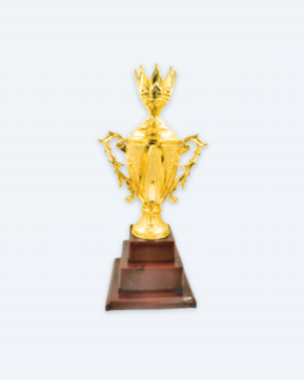 Fiber Trophy 2086 A