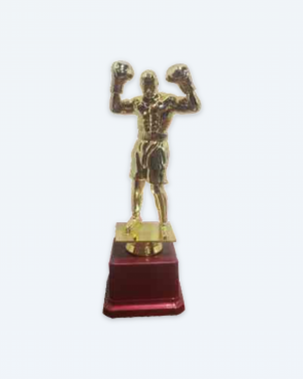 Fiber Trophy 3038