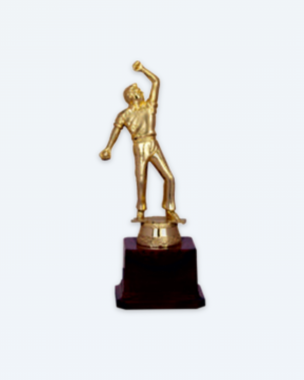 Fiber Trophy 3005 A