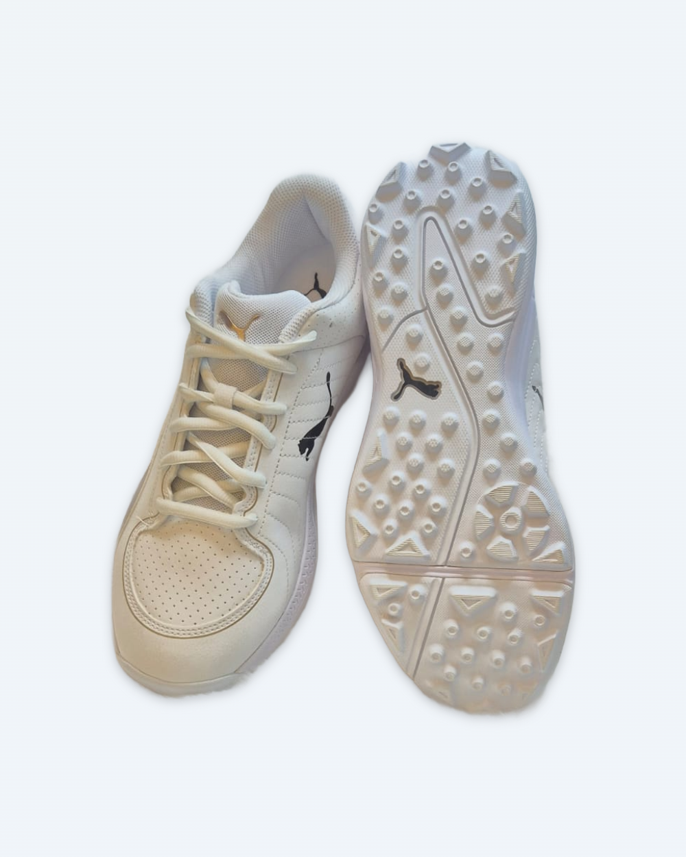 PUMA 24 FH Cricket Shoes Rubber Spikes